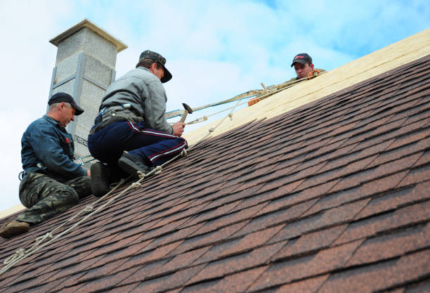 Best Roof Restoration Services  in Houston, AK