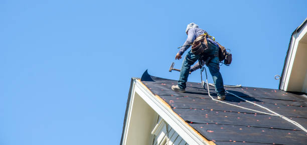 Best Gutter Installation and Roofing  in Houston, AK